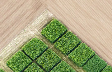 Trends in Geospatial Data - digitale Zwillinge